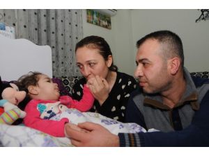 Çaresizliğin Pençesinde Son Arzu