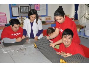 Farika Contaları Onlardan Soruluyor