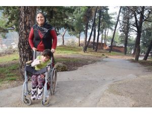 Yolu Engelli Meryem’in Ayağına Getirdiler