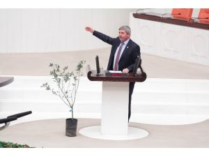 Chp’li Vekil Kürsüye Zeytin Fidanıyla Çıktı