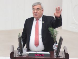 Chp’li Vekil, Bakan Eroğlu’na Çam Fidanı Hediye Etti