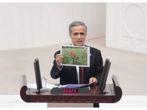 1968’den Beri Çivi Çakılmadı