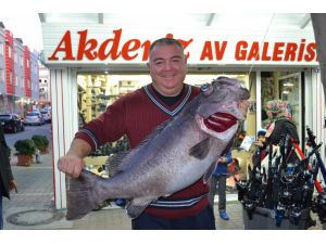 Akdenizde Balık Bereketi