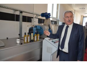 Üniversitede İsotlu Zeytinyağı Üretildi