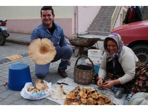 Kazdağlarında Mantar Bolluğu