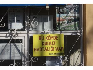 Erzincan’da Kuduz Vakasının Tespit Edildiği Köy Karantinaya Alındı