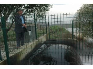 Boğazköy Barajını Besleyen Kocasu’nun Kirli Olduğu İddiası