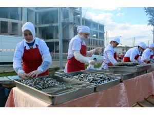 1 Ton Hamsi 1 Saatte Tükendi