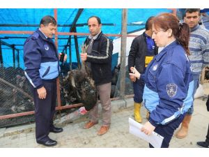 Mega Kentte Yılbaşı Denetimi