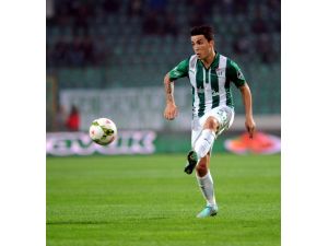 Timsaha Josue Müjdesi