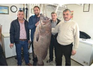 Tam 66.5 Kilo !