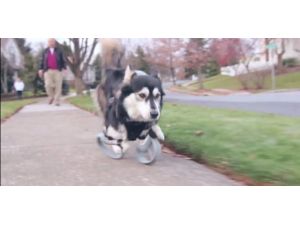 Protezlerle Eski Hayatına Geri Döndü