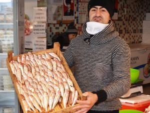 Bandırma’da Balık Fiyatları Düştü