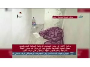 İşte Işid Hücreleri