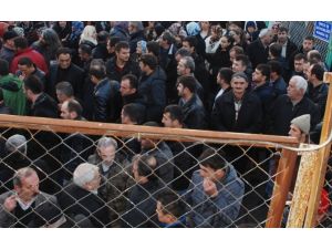 Meslektaş Dayanışması