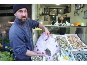 Kalkan Balığının Fiyatı Uçtu