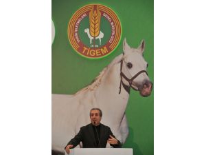 Engelleri Atla Aşacaklar