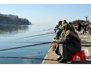72’lik Ninenin Balık Aşkı