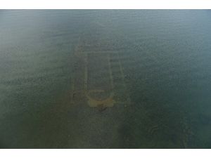 2014 Yılının En Önemli 10 Keşfi Arasında Gösterildi