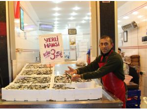 Hamsi Geri Gelince Fiyatı 3.5 Liraya Düştü