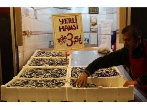 Müjde Hamsi 3.5 Tl’ye Düştü
