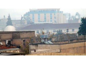 Şanlıurfa’da Sis Ve Yağış Günlük Hayatı Etkiledi