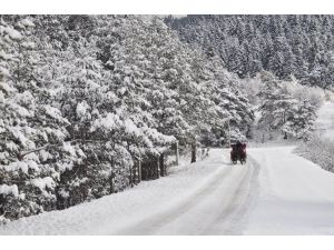Abant’ta Kartpostallık Kareler