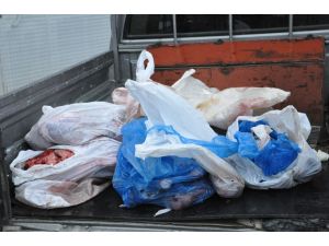 Dağ Keçisi Vuran 5 Kişiye 24 Bin Lira Ceza Kesildi