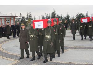 Şehit Sekiz Askerin Naaşı Şehitliğe Nakledildi