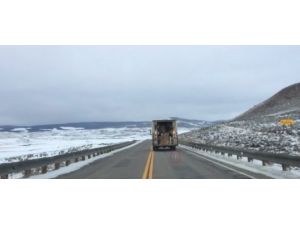 Fedex Dünyaya Rezil Oldu