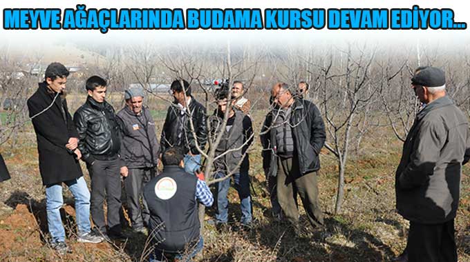 Meyve Ağaçlarında Budama Kursu Devam Ediyor…