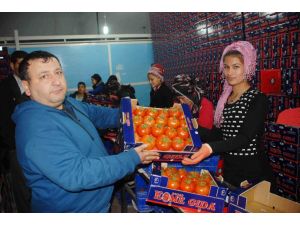 Ruble Fethiyeli İhracatçıları Da Vurdu