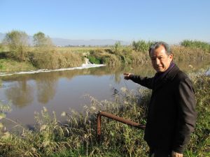 Menderes Nehri Ölüm Saçmaya Başladı