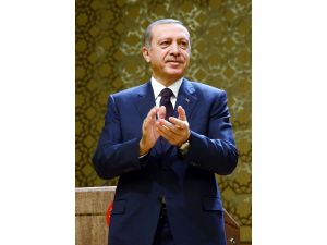 49. Tübitak Bilim, Özel Ve Teşvik Ödülleri