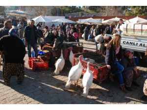 Hindiler El Yakıyor