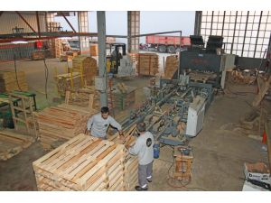 Detay Palet Yatırımlarıyla Çıtasını Yükseltiyor