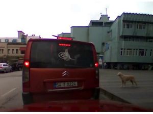 Böyle Yolcu Görülmedi