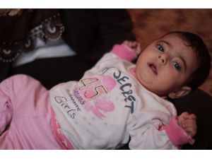 Şifanur Bebek Şifayı Bulmak İçin Sıra Bekliyor