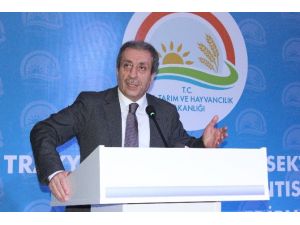 Mersin’in Önemine Değindi