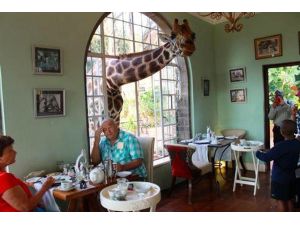 Zürafayla Kahvaltı Yapmak İster Misiniz ?