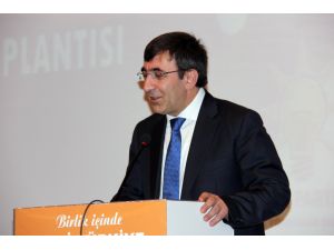 Kalkınma Bakanı Cevdet Yılmaz Bingölde