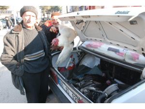 Otomobil Bagajında Hindi Satışı