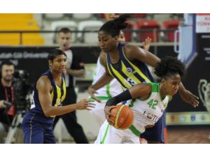 İlk Finalist Fenerbahçe