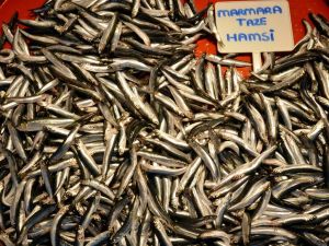 (Özel Haber) - Rusyaya Kaçan Hamsinin Kilosu 15 Tl’yi Buldu