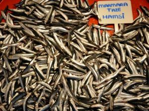 Hamsi Rusya’ya Kaçınca...