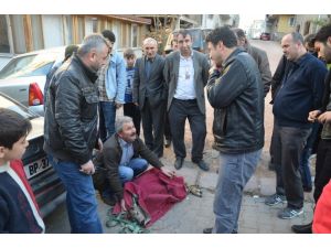 Tellere Takılan Karaca Yaralandı