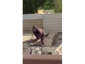 Bindiği Dalı Kesmek Bu Olsa Gerek