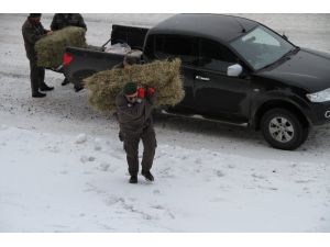 Yaban Hayata Yem Takviyesi