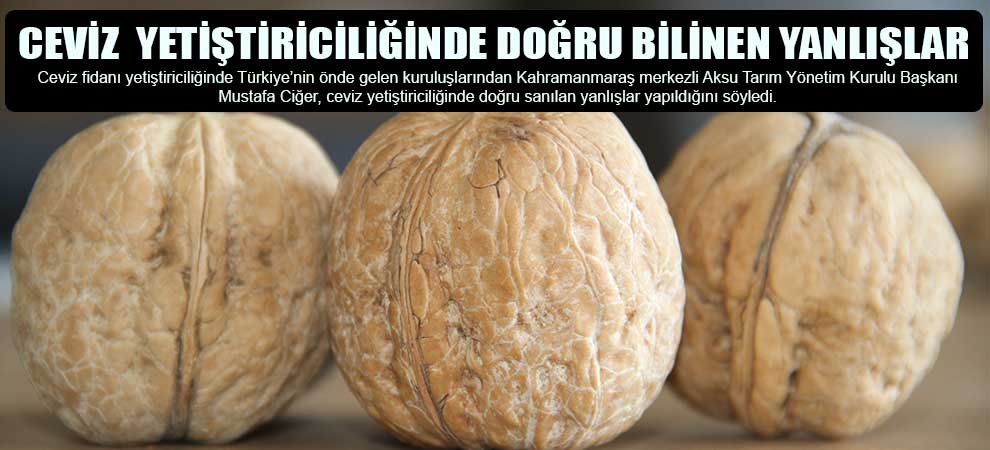 Ceviz  Yetiştiriciliğinde Doğru Bilinen Yanlışlar