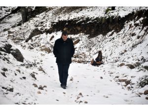 (Özel Haber) Kar Görmek İçin Yaylaya Çıktılar